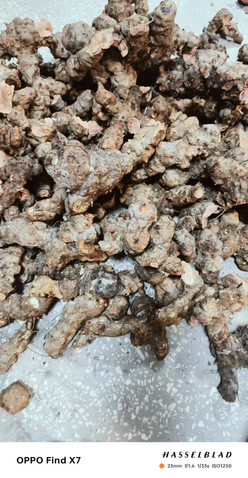 【包邮】正宗土茯苓一件代发对接全国售后无忧