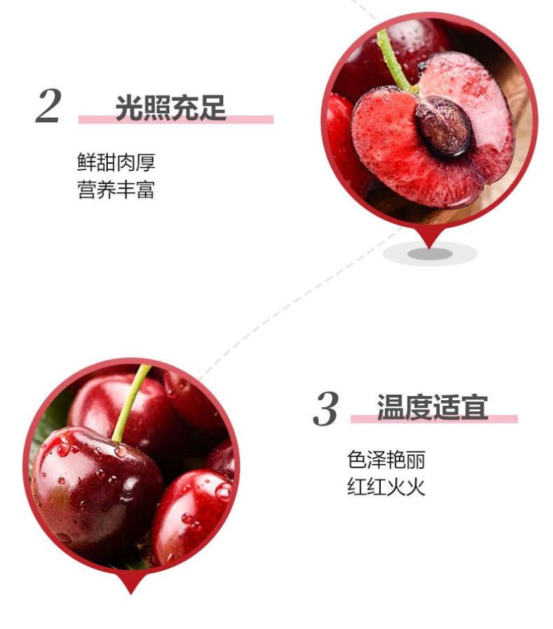 智利车厘子新鲜当季水果爆甜一件代发包邮批发团购