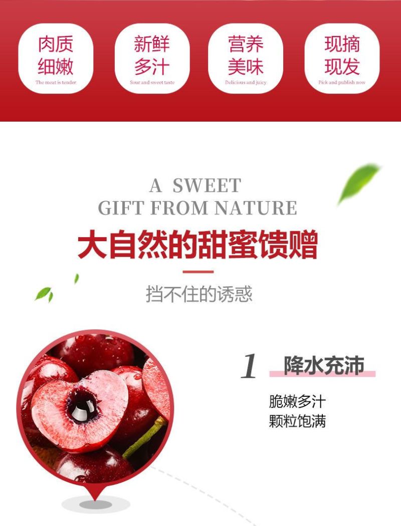 智利车厘子新鲜当季水果爆甜一件代发包邮批发团购