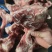 多肉大棒骨3块左右一斤