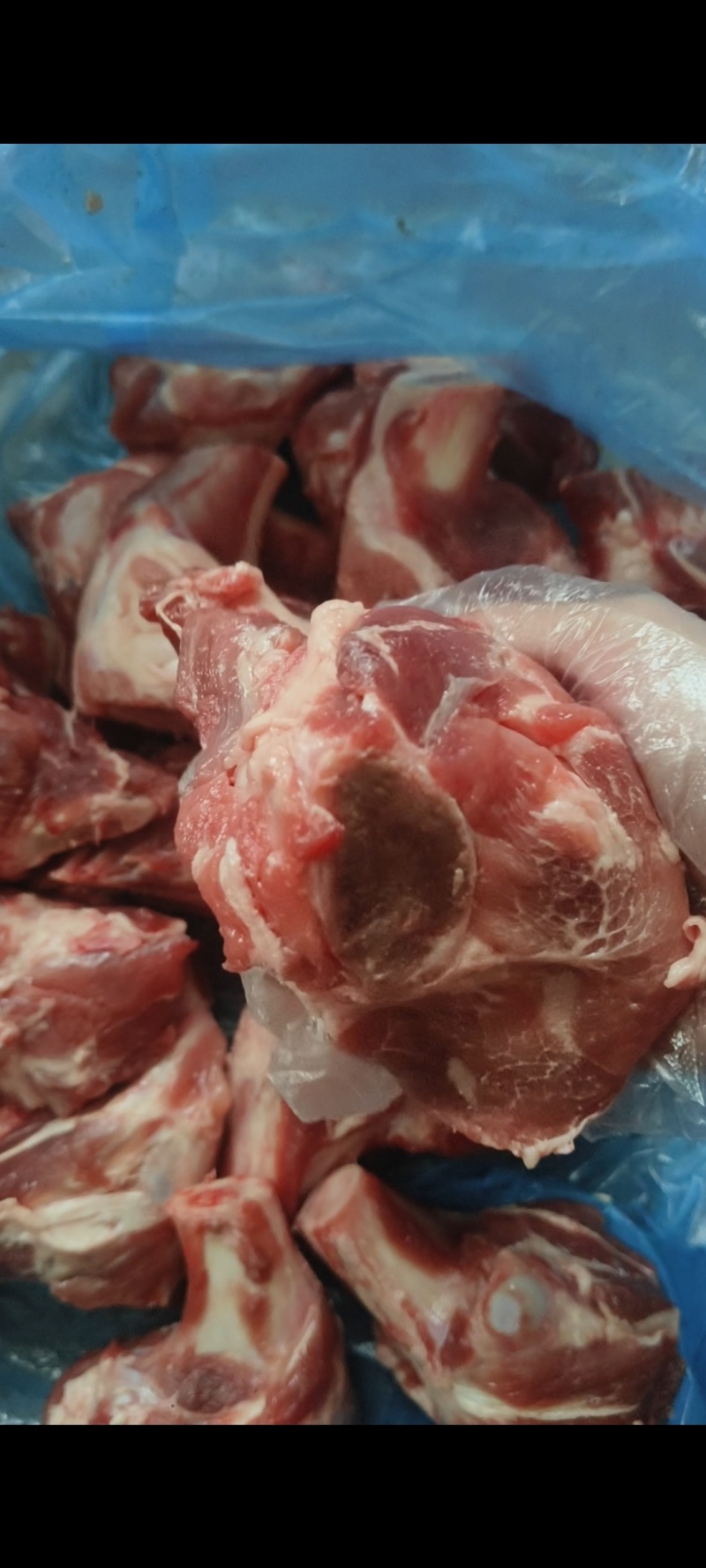 多肉大棒骨3块左右一斤