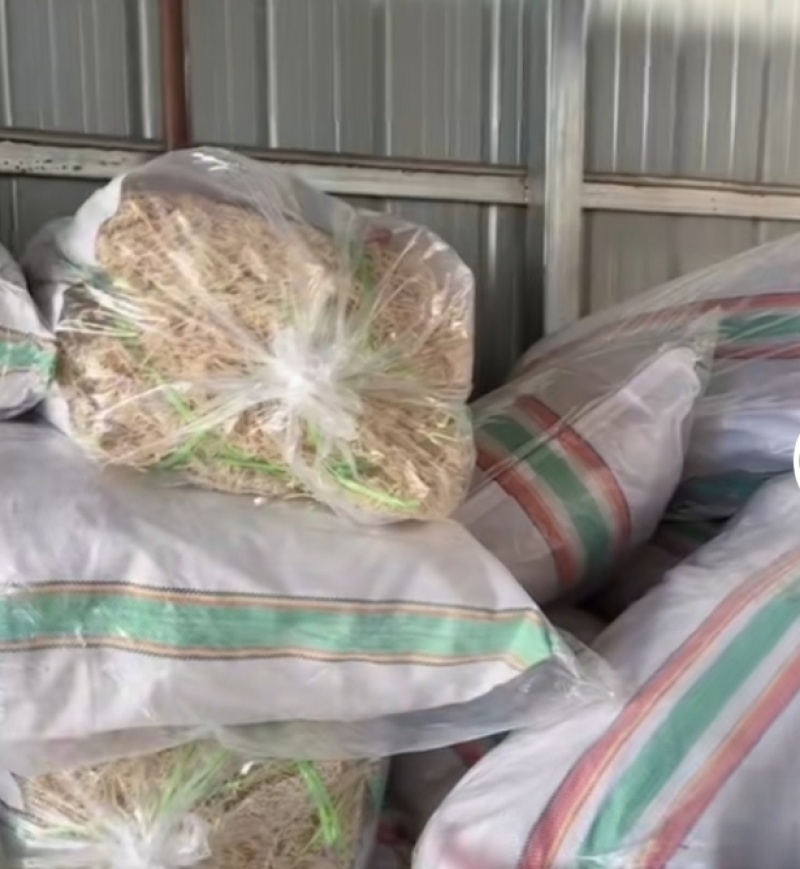 山东省滕州市批发凉拌菜，龙须菜，鹿角菜，精品普货规格齐全