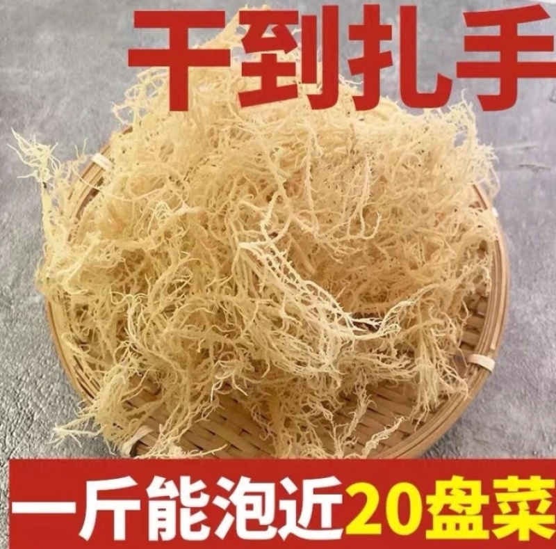 山东省滕州市批发凉拌菜，龙须菜，鹿角菜，精品普货规格齐全