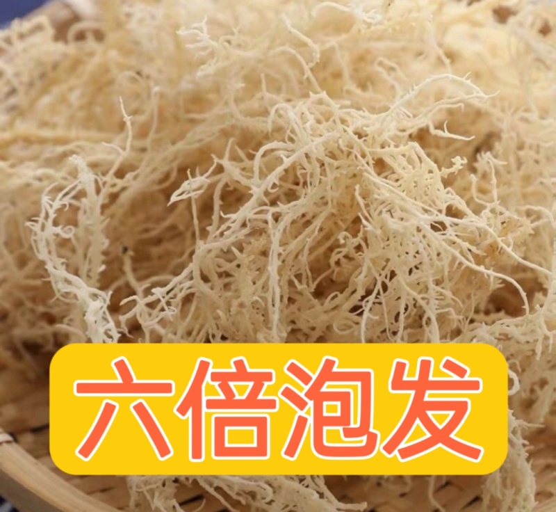 山东省滕州市批发凉拌菜，龙须菜，鹿角菜，精品普货规格齐全