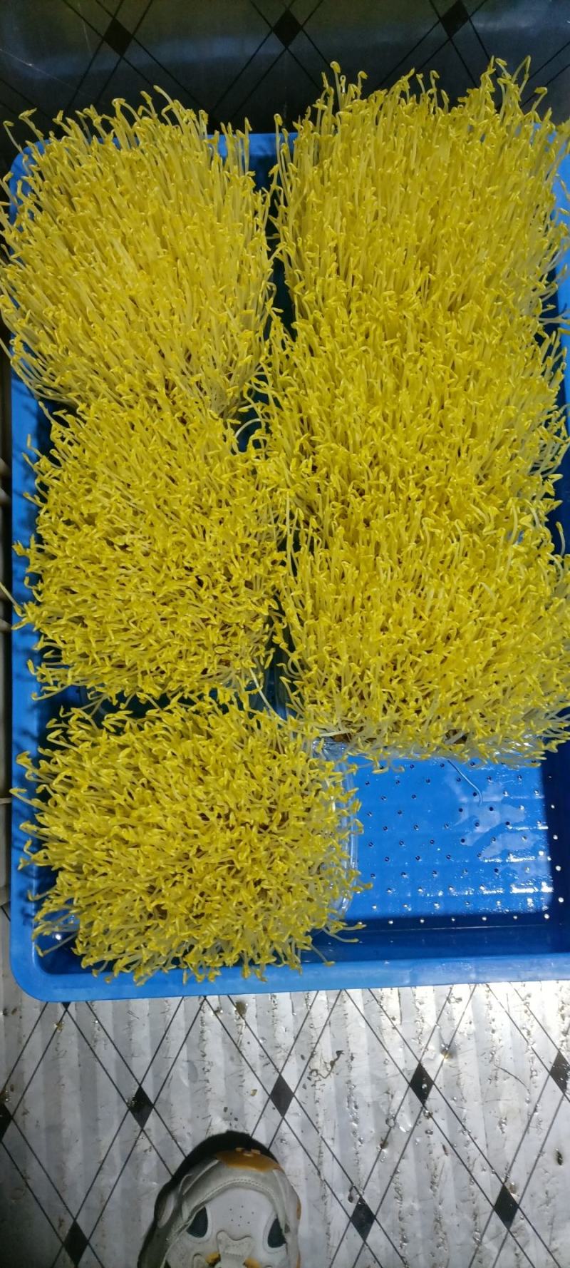 零添加碗豆苗包装