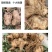 【包邮】云南原生态滇黄精马尾生批发多规格鸡头黄精
