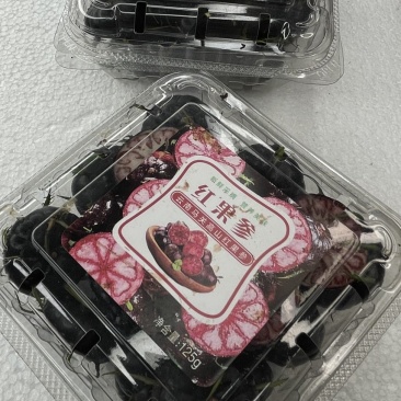云南仙女野果红果参花青素**黄酮**