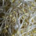 零添加井水黄豆芽厂家直发保质保量量大优惠视频看货