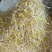 零添加井水黄豆芽厂家直发保质保量量大优惠视频看货