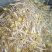 零添加井水黄豆芽厂家直发保质保量量大优惠视频看货