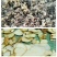 【包邮】云南滇黄精一件代发保质保量对接全国售后无忧