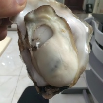 1-6全规格有货