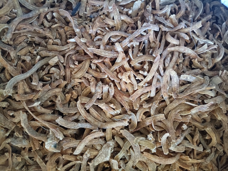 熟鱼干
