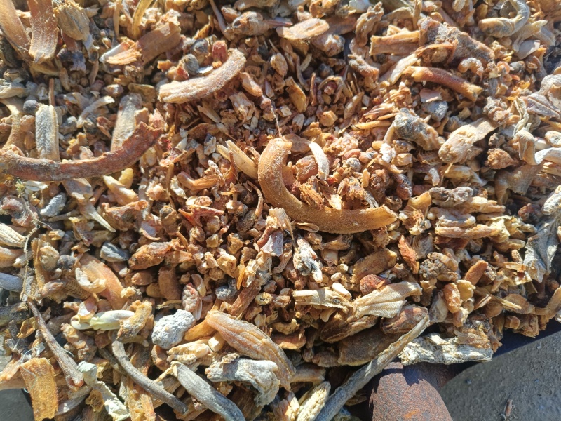 熟鱼干