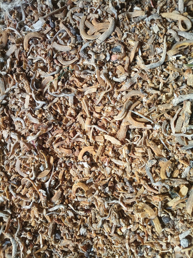 熟鱼干