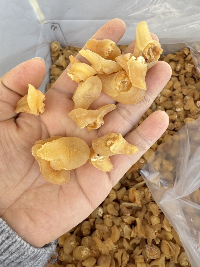 珍珠鲍螺海螺干海螺肉海鲜干货批发