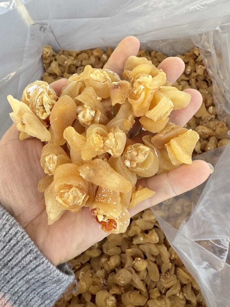 珍珠鲍螺海螺干海螺肉海鲜干货批发
