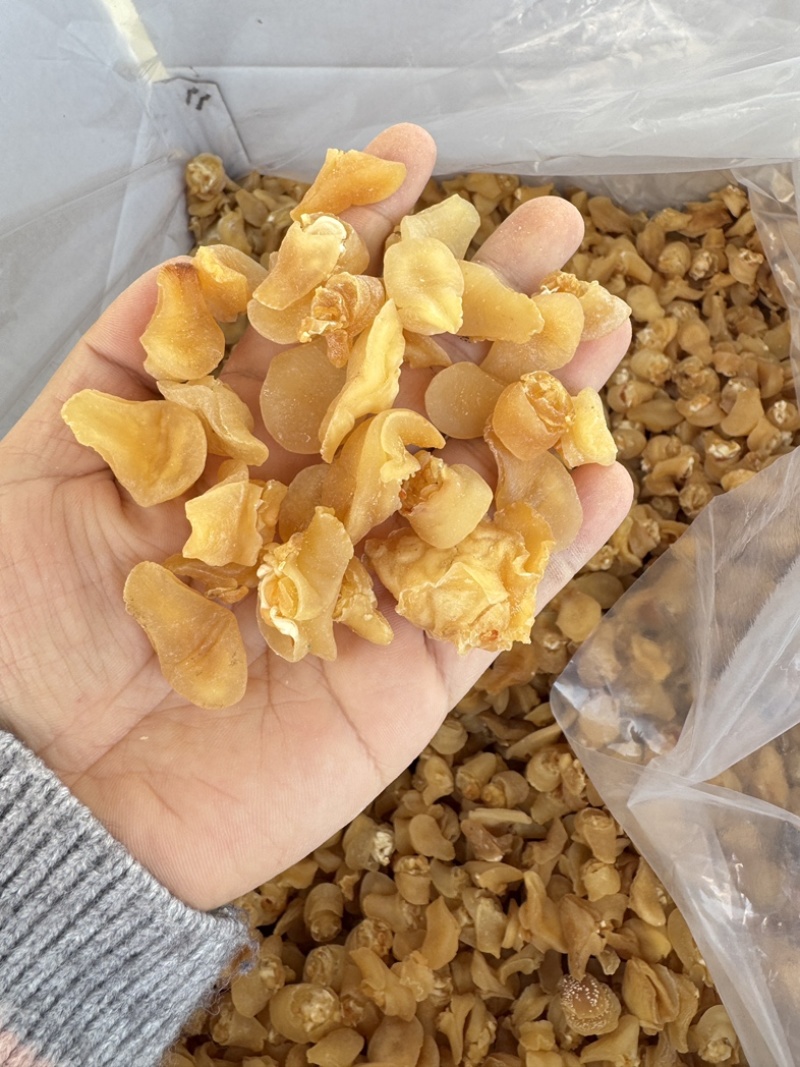 珍珠鲍螺海螺干海螺肉海鲜干货批发