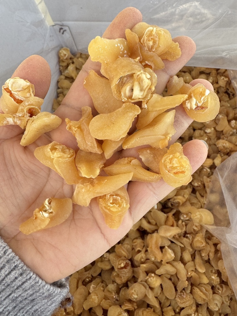 珍珠鲍螺海螺干海螺肉海鲜干货批发