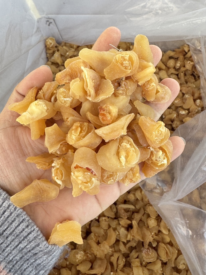 珍珠鲍螺海螺干海螺肉海鲜干货批发