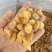 珍珠鲍螺海螺干海螺肉海鲜干货批发