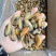 特大淡菜一斤110粒海虹干淡干海鲜干货北海海味