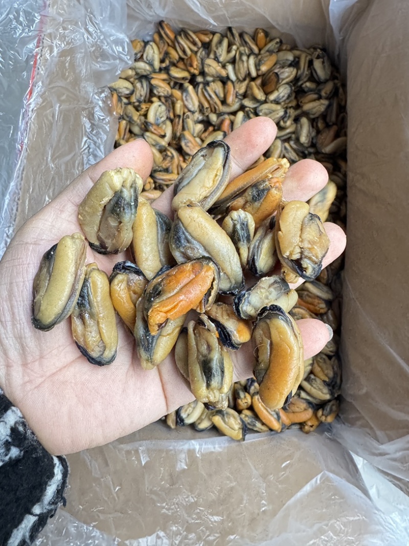 特大淡菜一斤110粒海虹干淡干海鲜干货北海海味