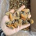 特大淡菜一斤110粒海虹干淡干海鲜干货北海海味