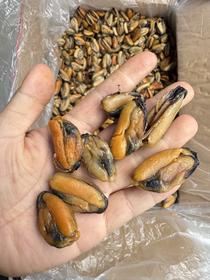 特大淡菜一斤110粒海虹干淡干海鲜干货北海海味