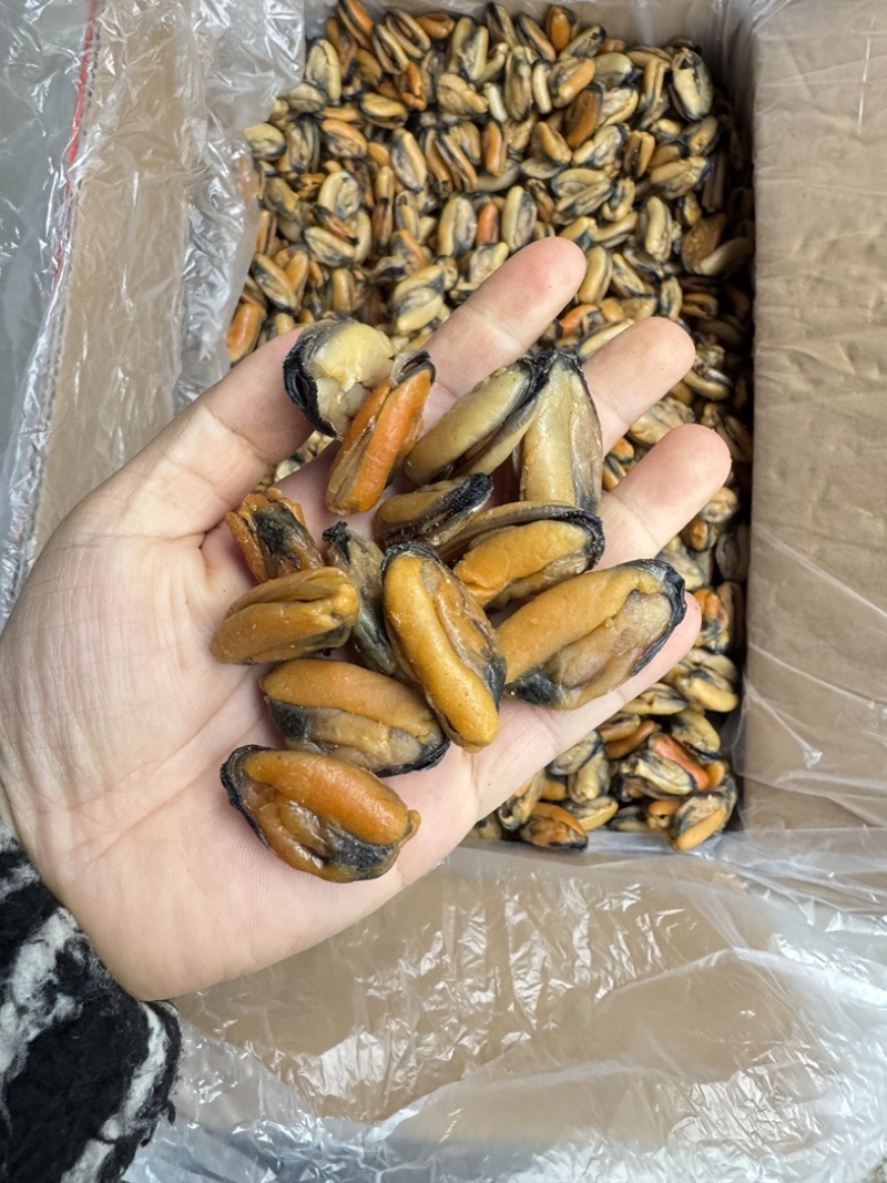 特大淡菜一斤110粒海虹干淡干海鲜干货北海海味