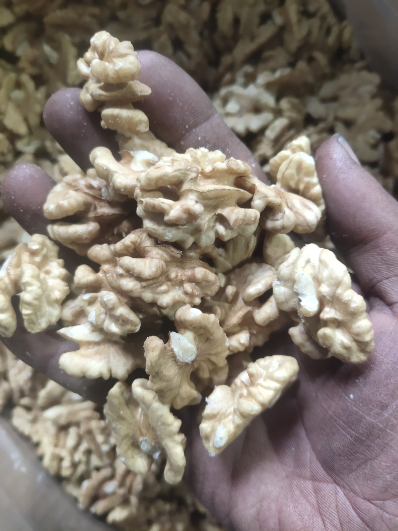 25年新货坚果干果，产地直供各种规格核桃仁，可视频看货