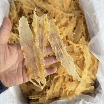 挪威鳕鱼胶批发冰岛鳕鱼胶淡干清水货110头一斤