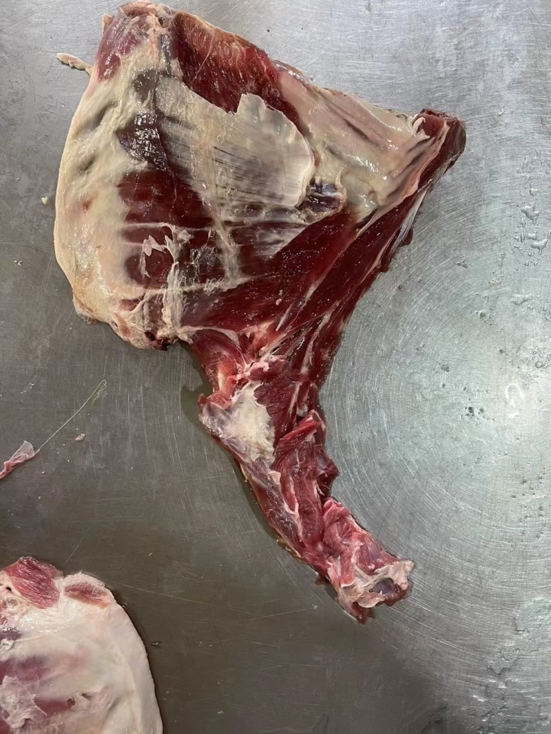 精选加肉款房间骨带排羊蝎子自助酱骨火锅**。