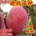 沂蒙映霜红桃新品种嫁接桃树苗现挖现发包成活包结果