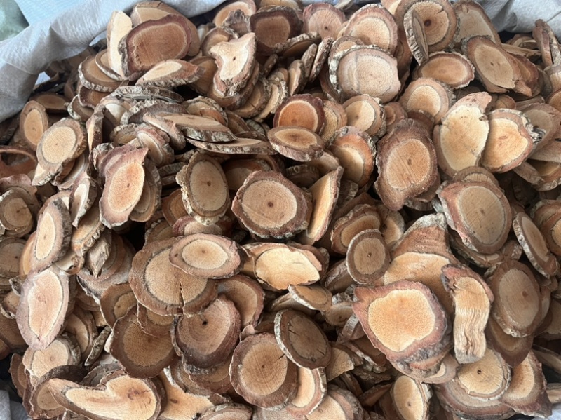 海风藤海风藤漂亮海风藤大量有货产地直发可视频看货