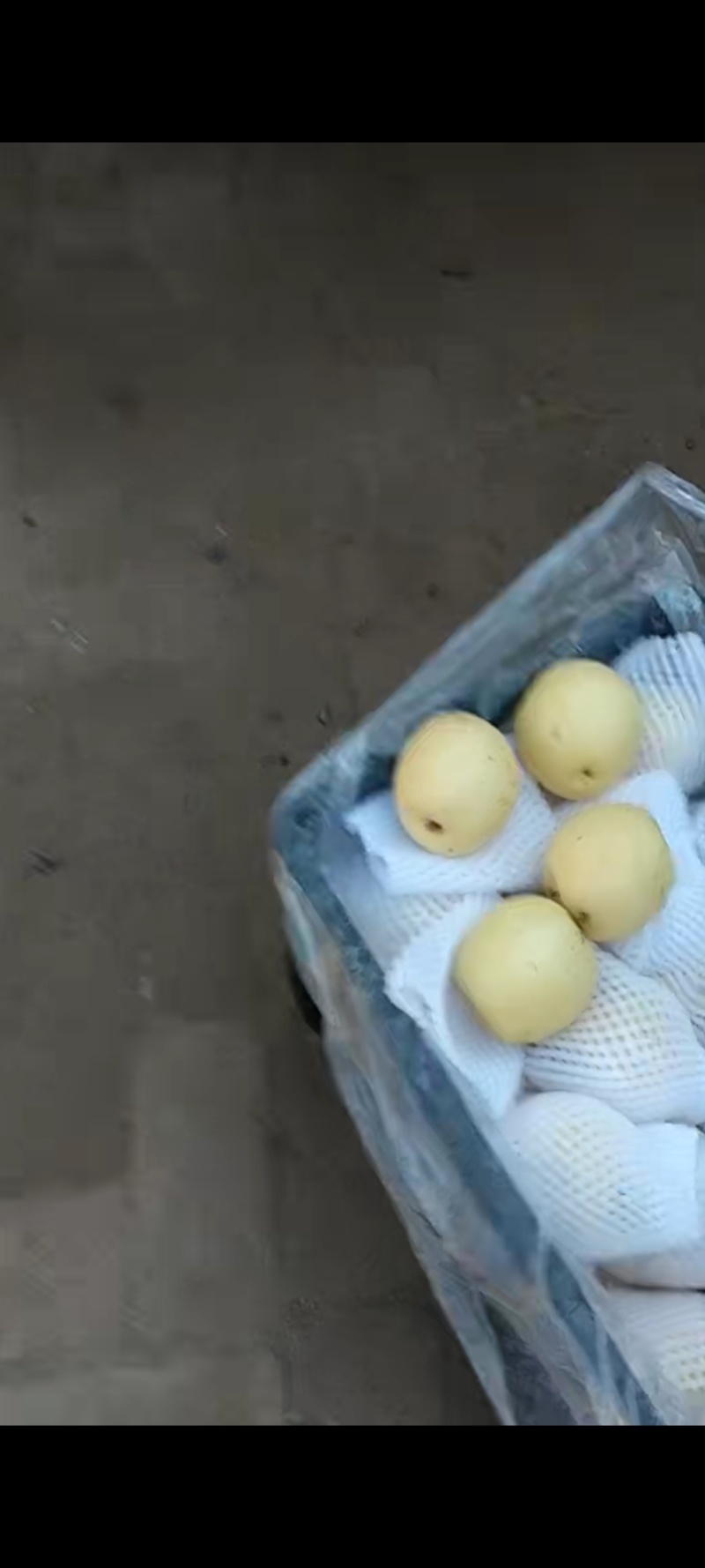 二级皇冠梨