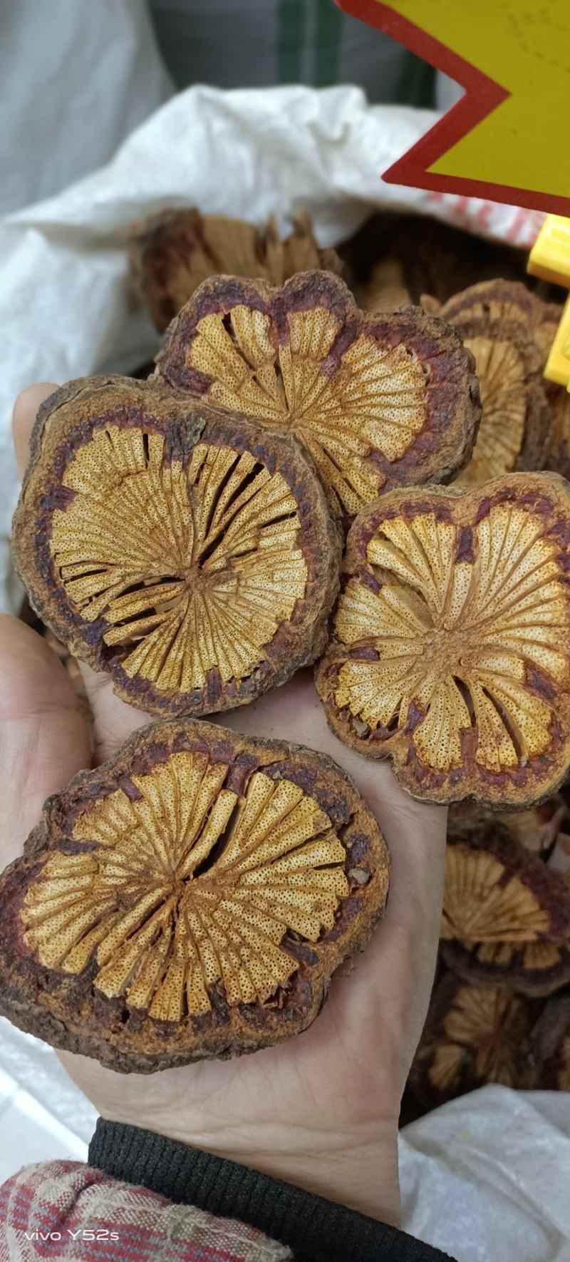 血赛通各种中药材，名贵药材，冷背药材，代加工打粉，压片