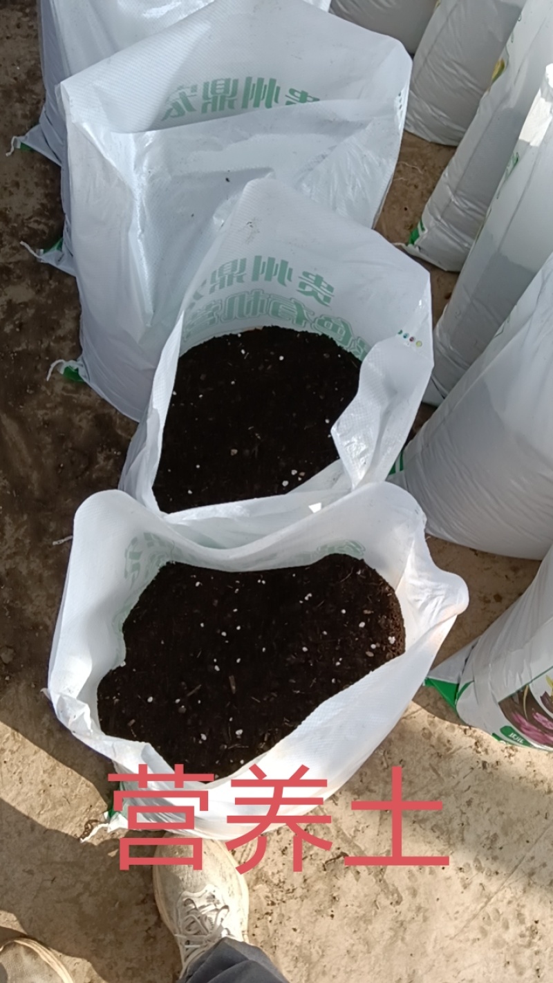 优质营养土，疏松透气，保水保肥不积水不烂根，不生蚊虫杂草