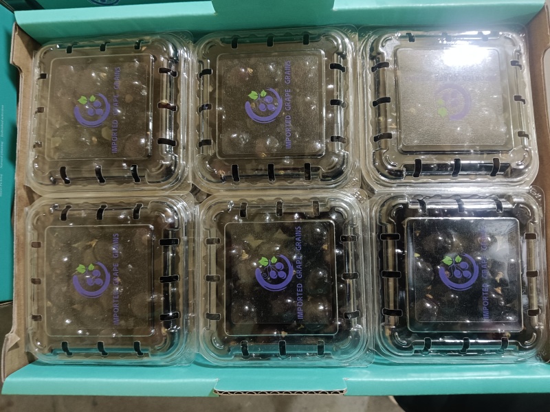 树葡萄