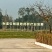 四川彭州土特产地地道道川芎，川芎片，川芎茶