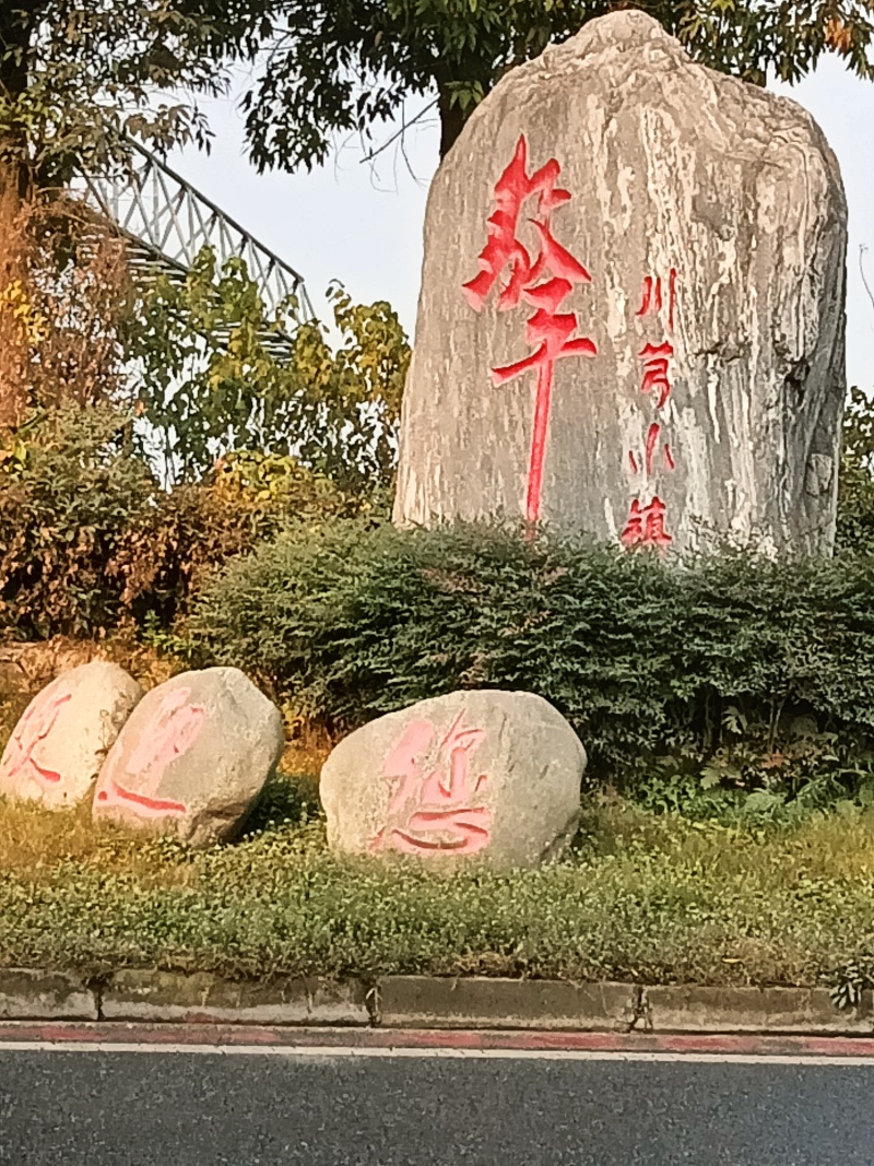 四川彭州土特产地地道道川芎，川芎片，川芎茶