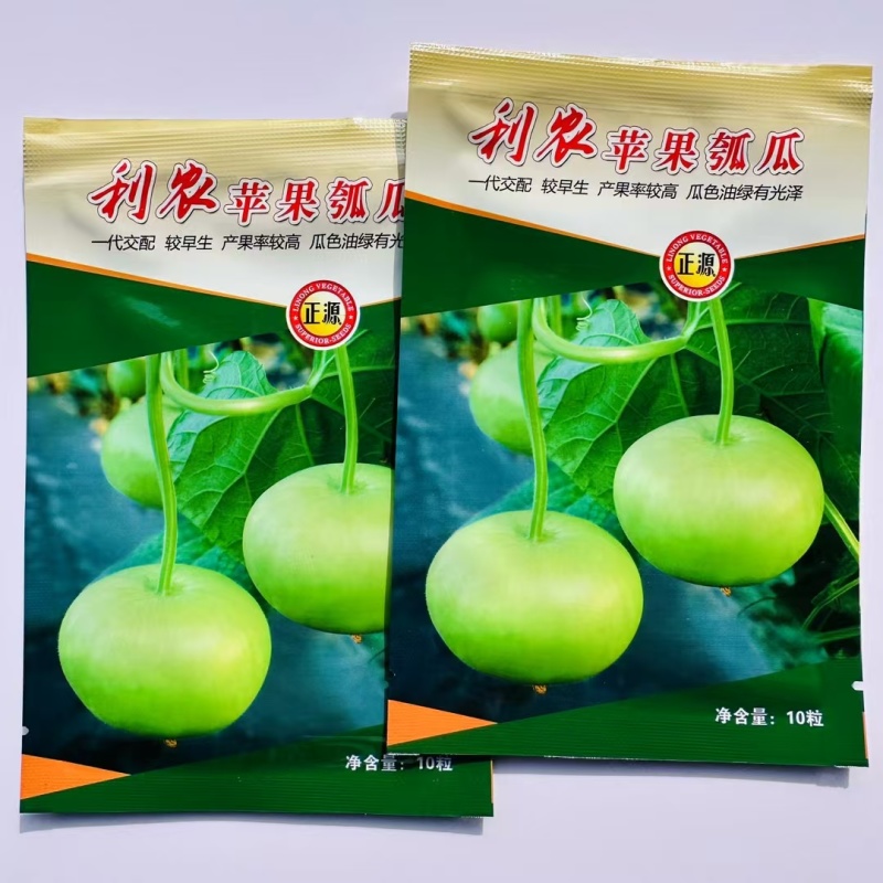 广东苹果瓠瓜种子正宗瓠瓜种苹果蒲瓜种子户子圆瓠子种籽高产