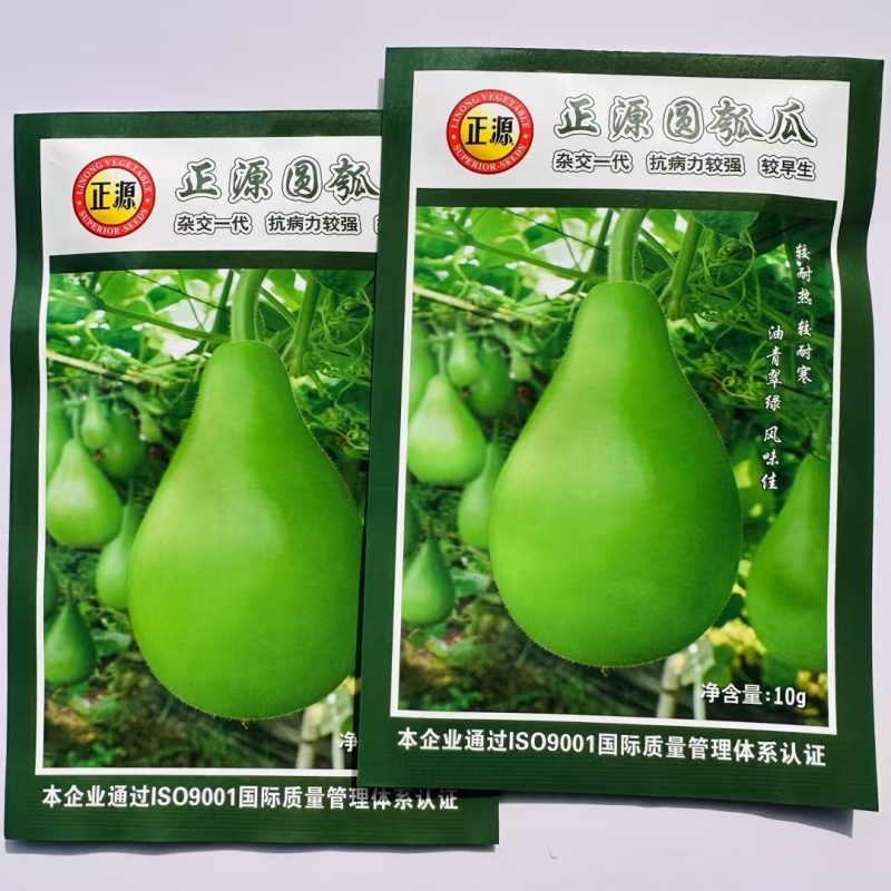 正源圆瓠瓜种子一代杂交早熟耐热甜蒲瓜菜葫芦小瓠子短棒瓠瓜