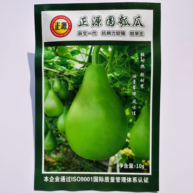 正源圆瓠瓜种子一代杂交早熟耐热甜蒲瓜菜葫芦小瓠子短棒瓠瓜
