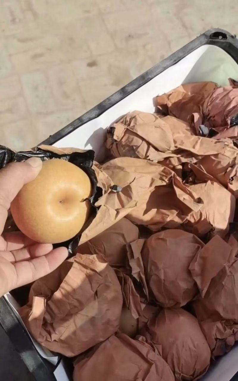 原袋丰水梨，每个单独打开检查，确保质量问题