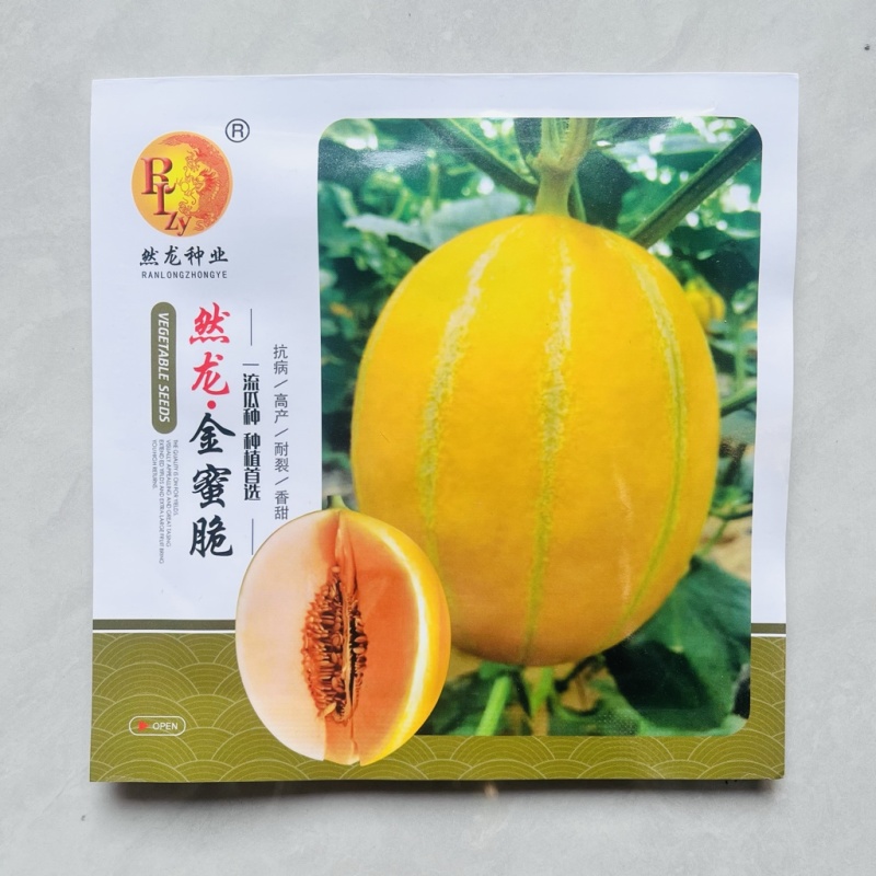 然龙金脆蜜甜瓜品种，中熟品种，露天大棚均可种植品种种子