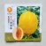 然龙金脆蜜甜瓜品种，中熟品种，露天大棚均可种植品种种子