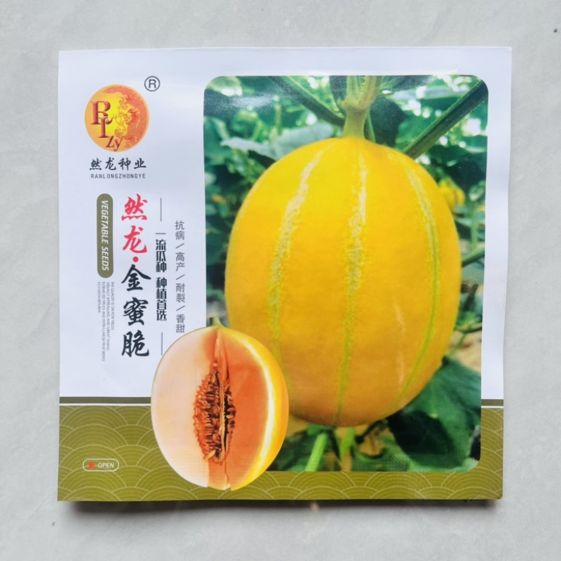 然龙金脆蜜甜瓜品种，中熟品种，露天大棚均可种植品种种子