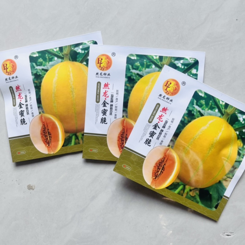 然龙金脆蜜甜瓜品种，中熟品种，露天大棚均可种植品种种子
