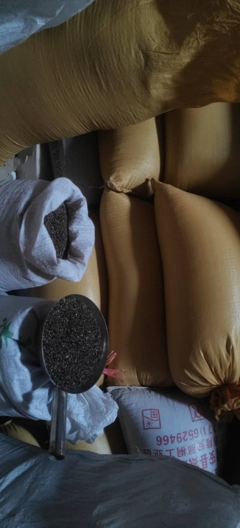 正宗广西鸡骨草种子保质保量专业发货诚信经营
